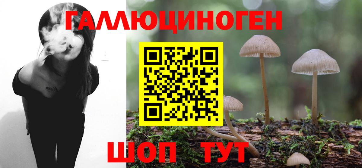 Печора  Псилоцибиновые грибы мухоморы  Вход с VPN 